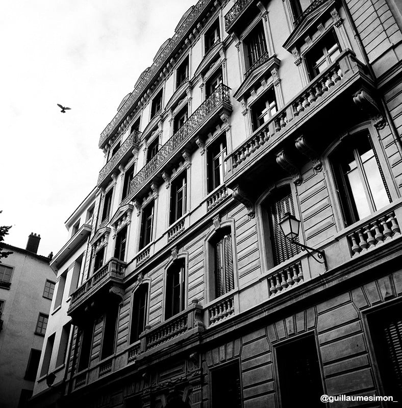 ilford ortho plus 80 120 film 120 pellicule argentique noir et blanc 80 iso orthochromatique photographie