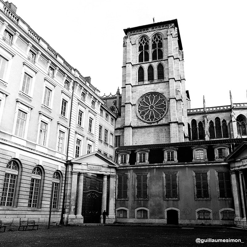 ilford ortho plus 80 120 film 120 pellicule argentique noir et blanc 80 iso orthochromatique photographie