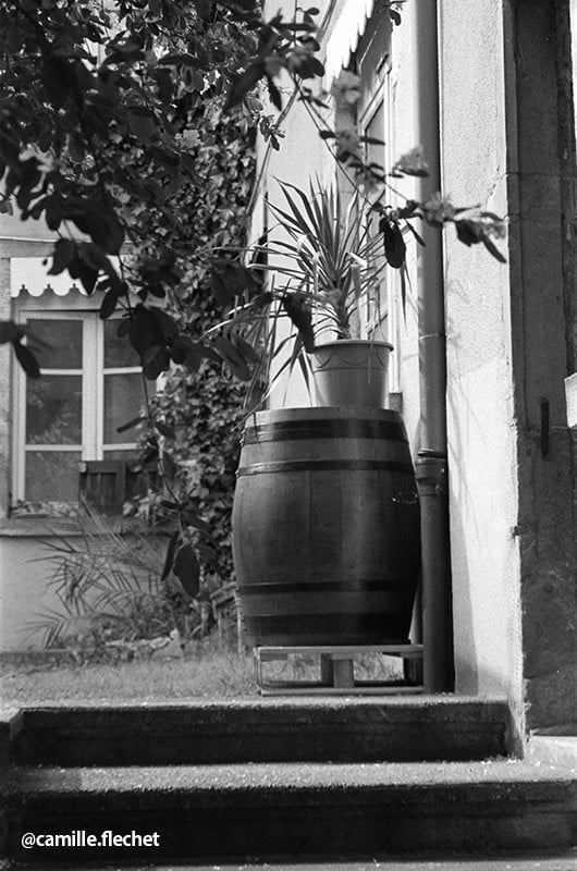 ilford pan 400 iso asa panchromatique noir et blanc film argentique photographie vintage négatif 35mm 135