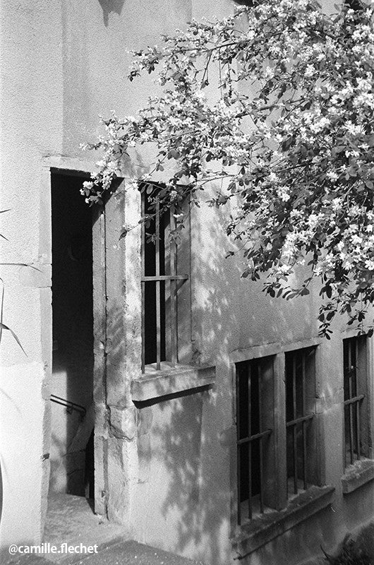 ilford pan 400 iso asa panchromatique noir et blanc film argentique photographie vintage négatif 35mm 135