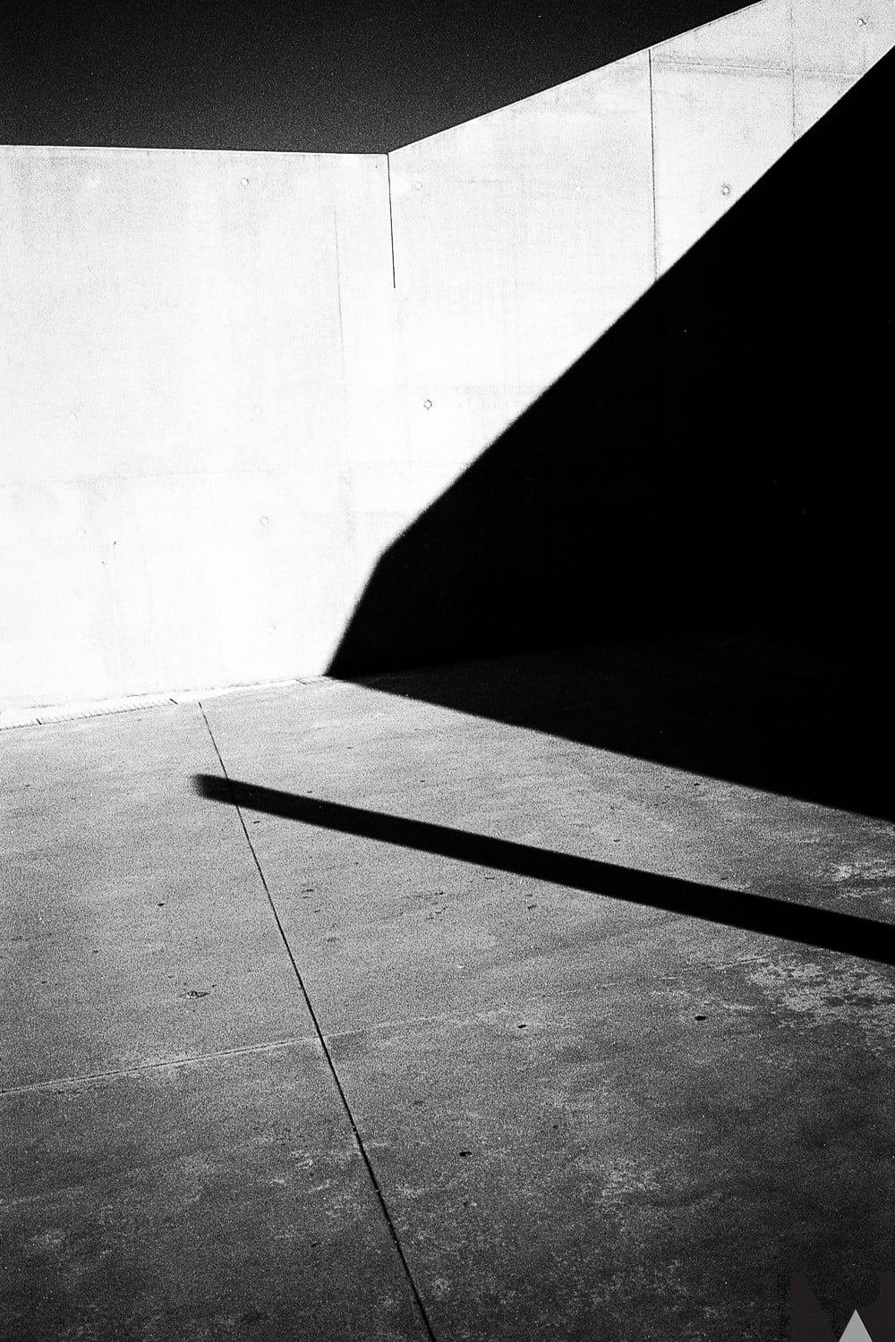 ilford pan f plus 50 35mm 135 36 poses pellicule argentique noir et blanc test photo rendu exemple