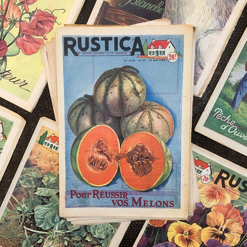 journal revue rustica campagne jardin jardinage ancien vintage papier illustré illustration exemplaire numéro 1950 1954 1955