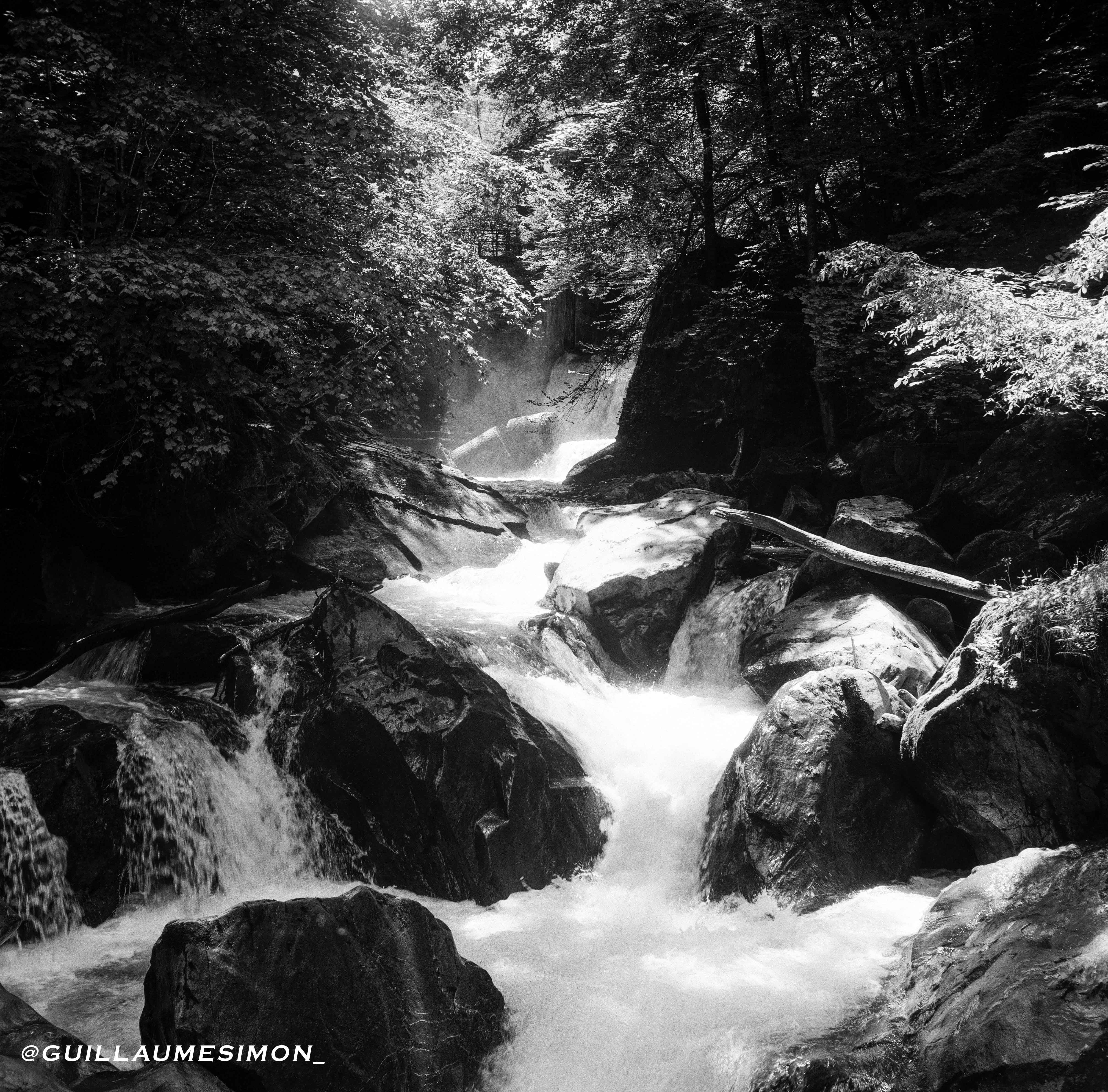 kentmere pan 200 pellicule argentique 120 noir et blanc 200 iso film
