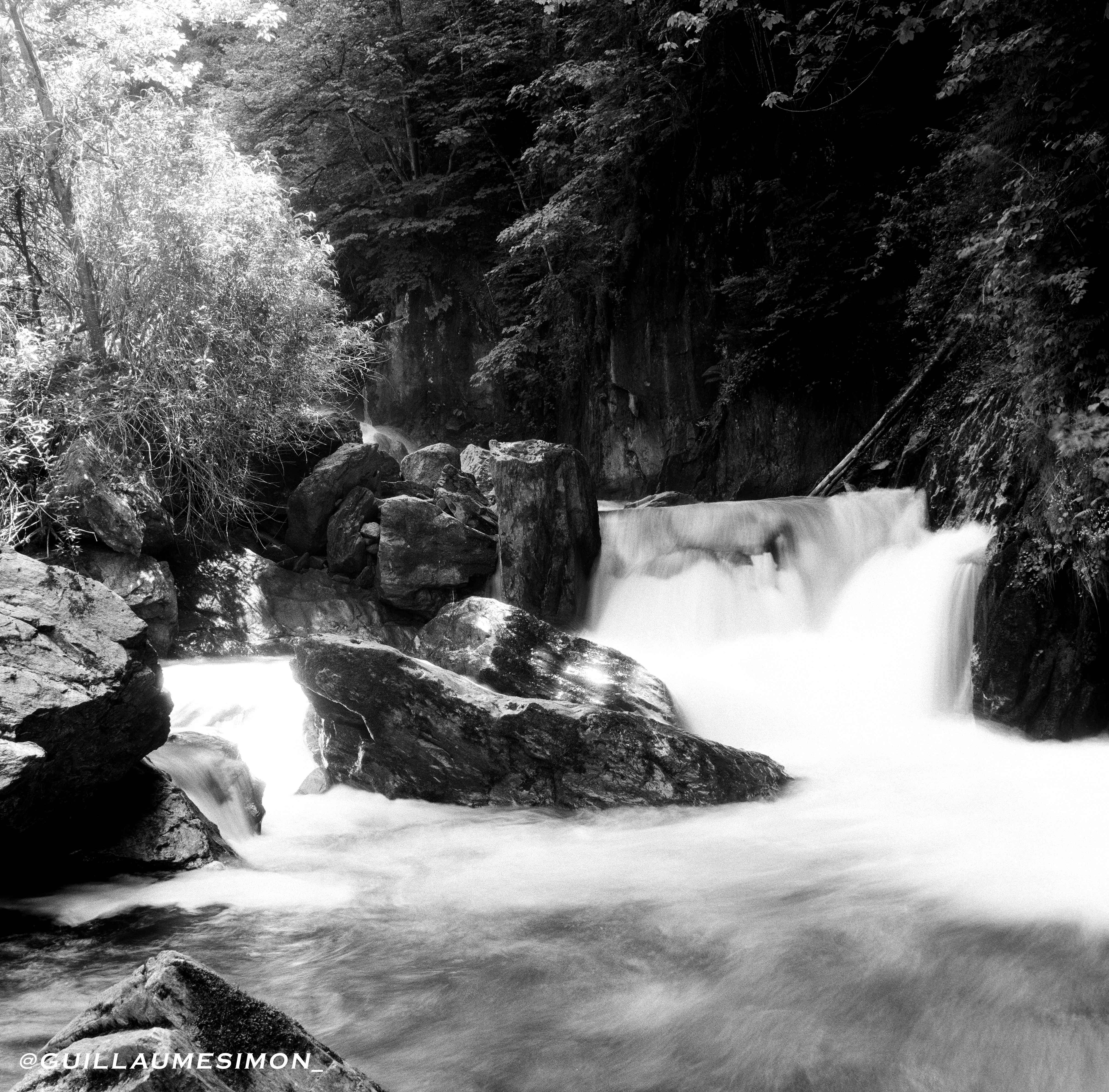 kentmere pan 200 pellicule argentique 120 noir et blanc 200 iso film