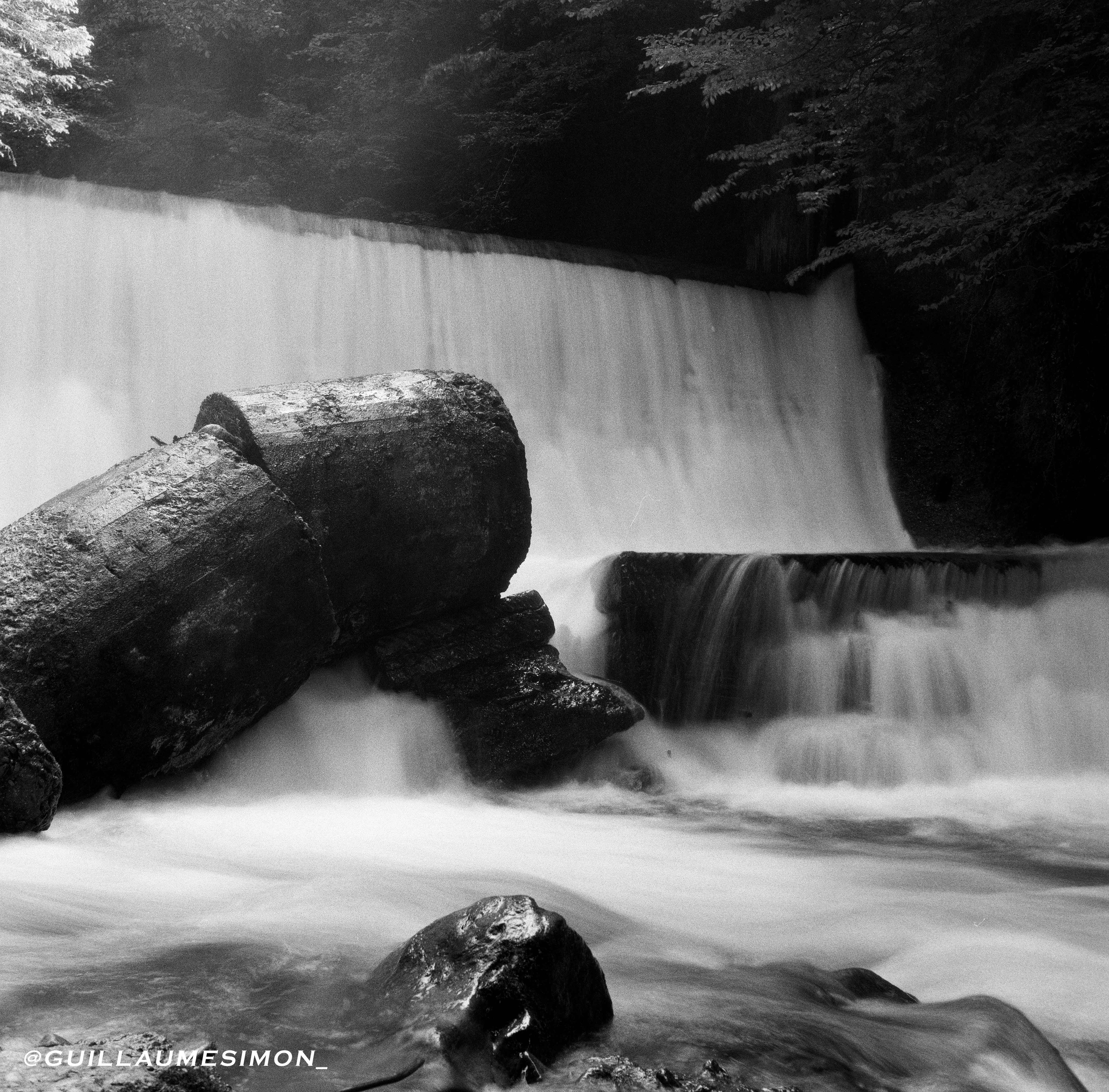 kentmere pan 200 pellicule argentique 120 noir et blanc 200 iso film