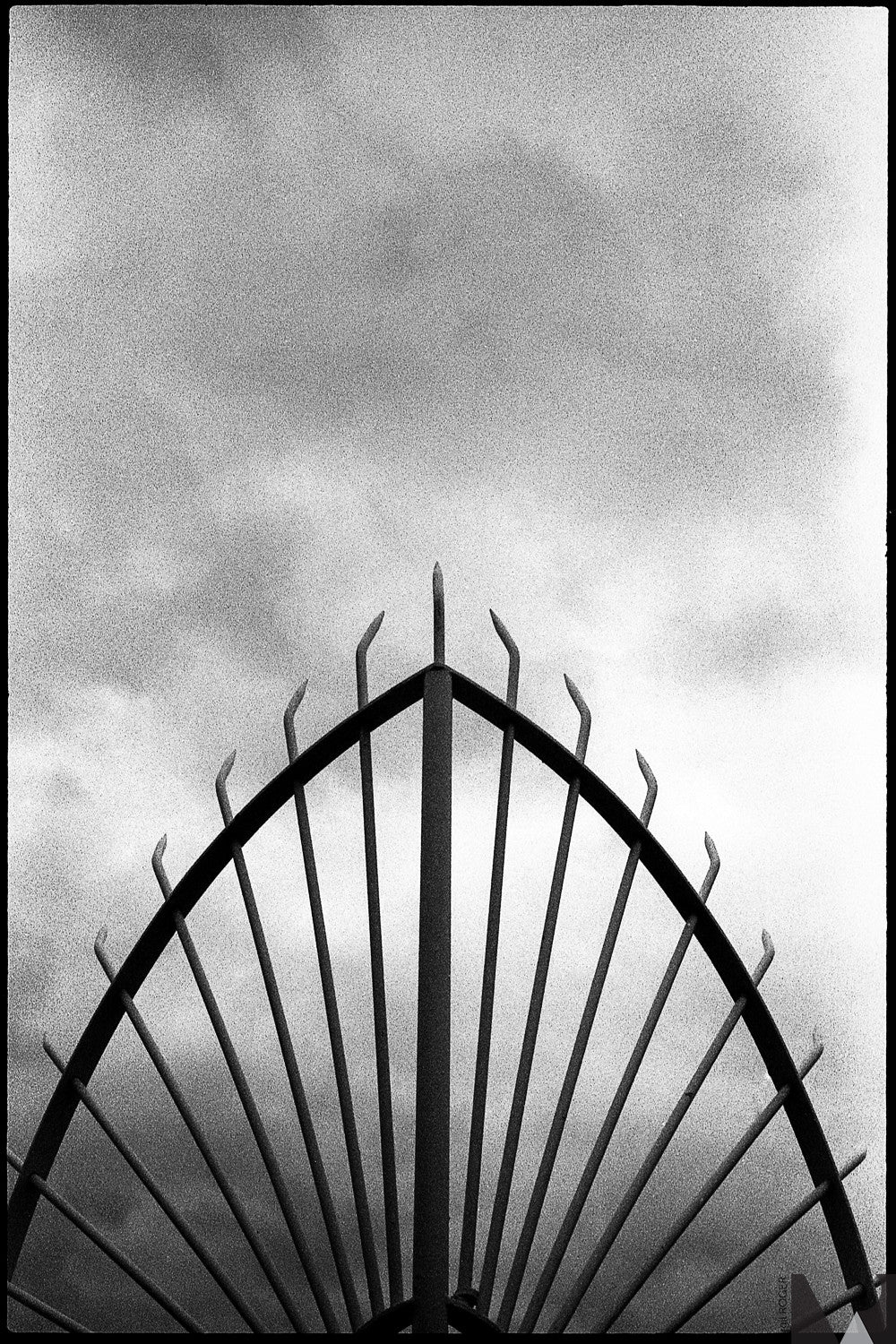 kentmere pan 400 pellicule argentique 35mm noir et blanc 400 iso film test rendu photo exemple