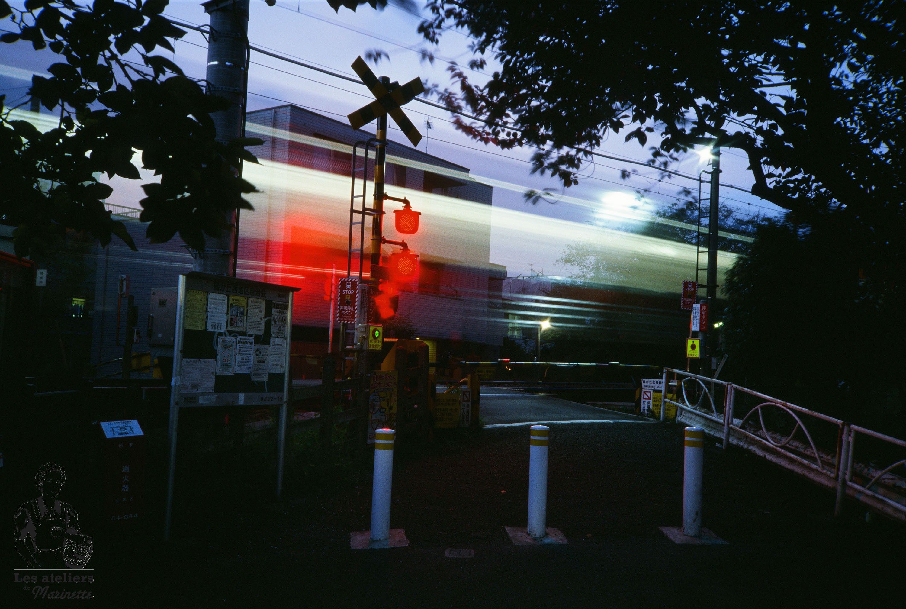 pellicule argentique kodak ektachrome e100 iso 100 diapositive diapo photo exemple exemples