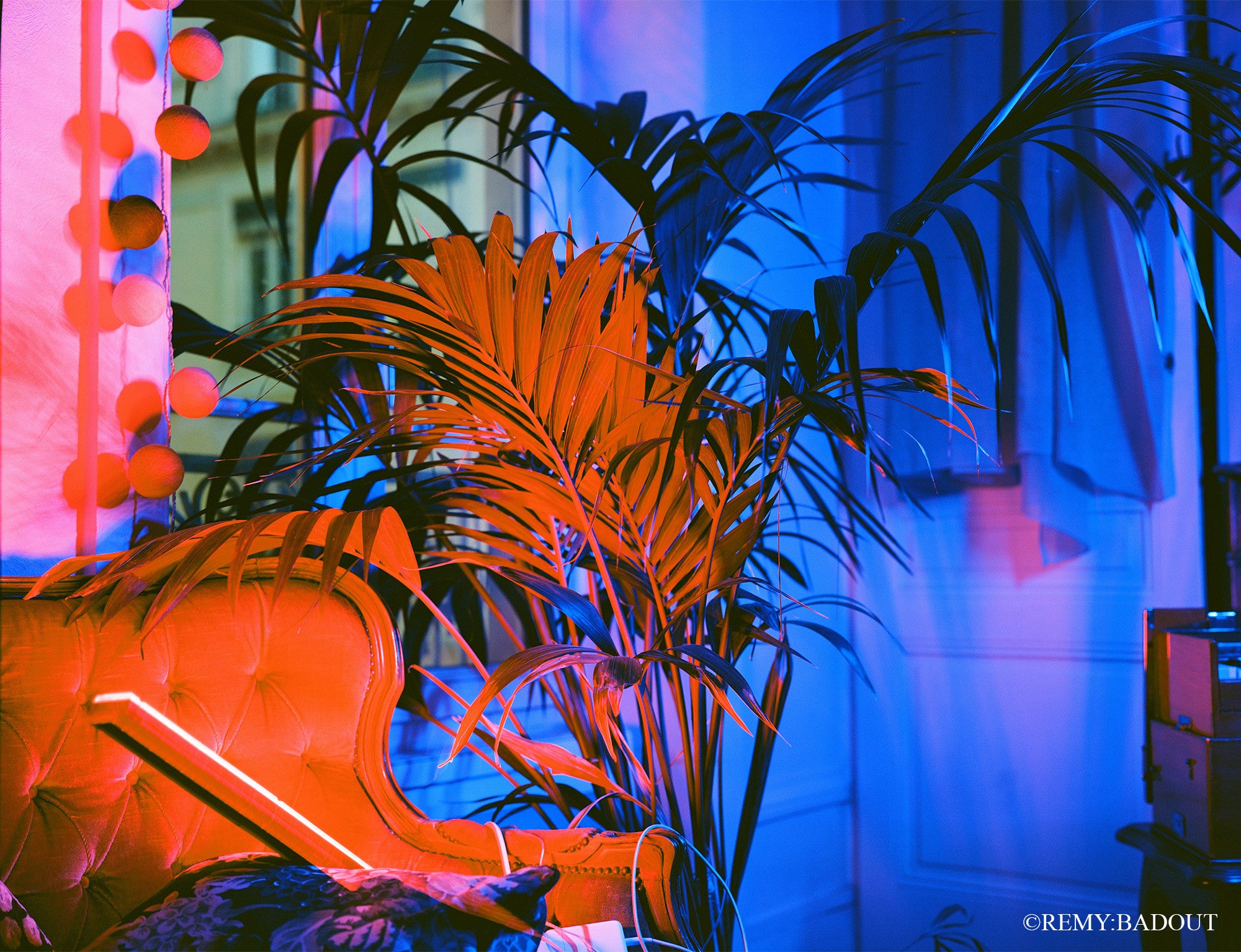 pellicule kodak ektar 100 120 film rouleau argentique moyen format 100 iso couleur essai rendu test exemple photo