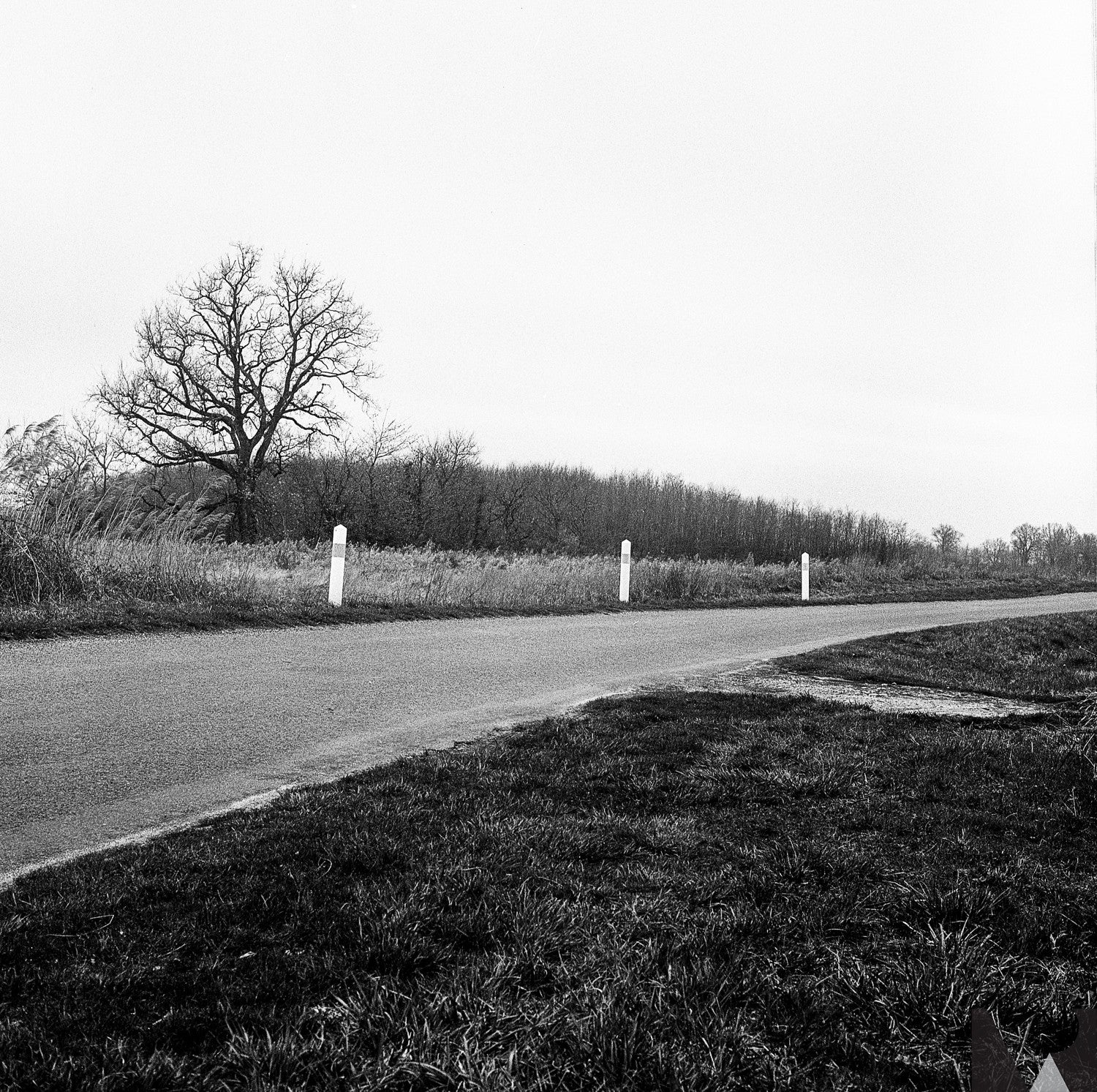 kodak tri-x 400 film pellicule argentique noir et blanc rendu test photo exemple image