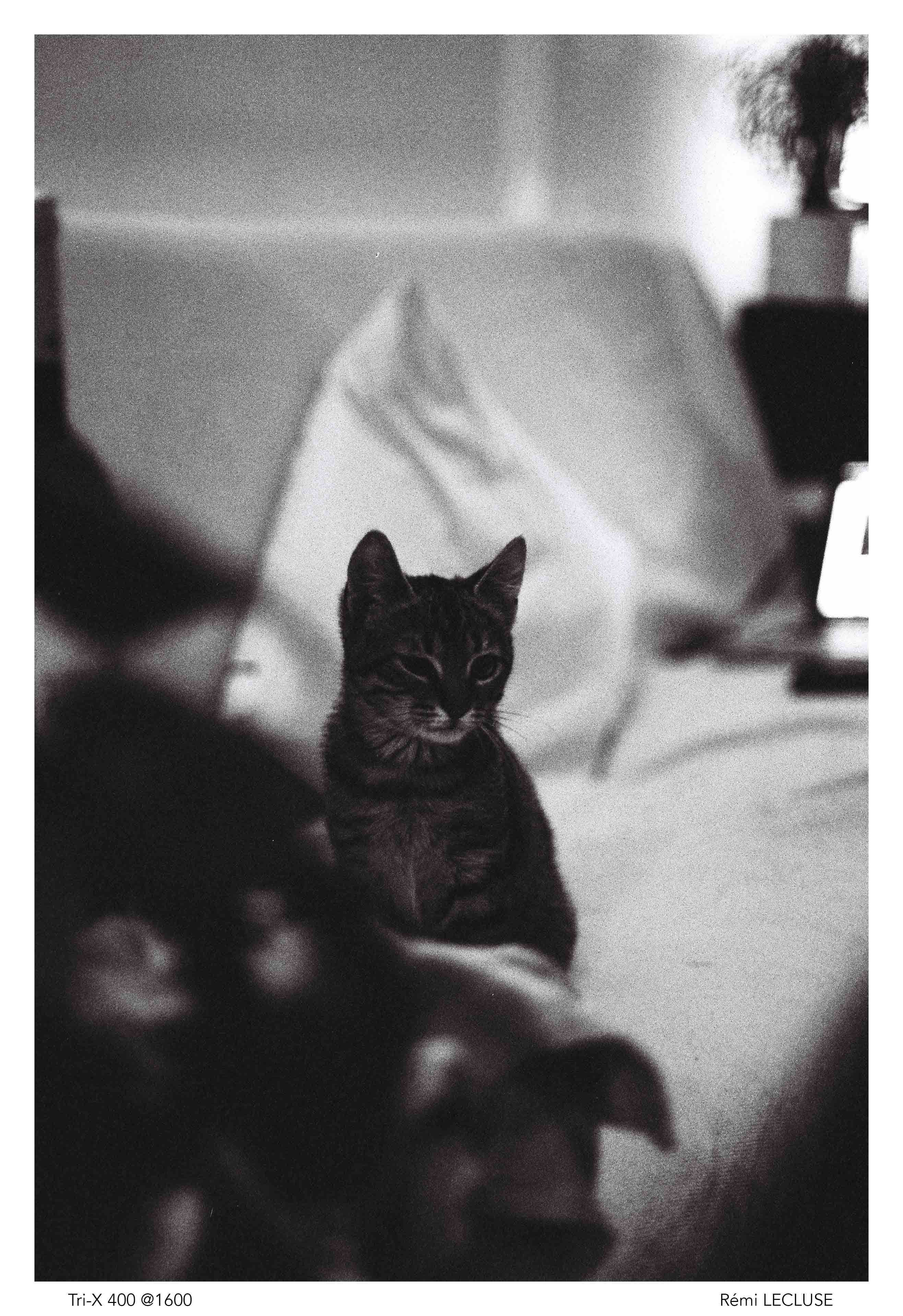 kodak tri-x 400 35mm 36 poses film pellicule argentique noir et blanc 135 rémi lecluse