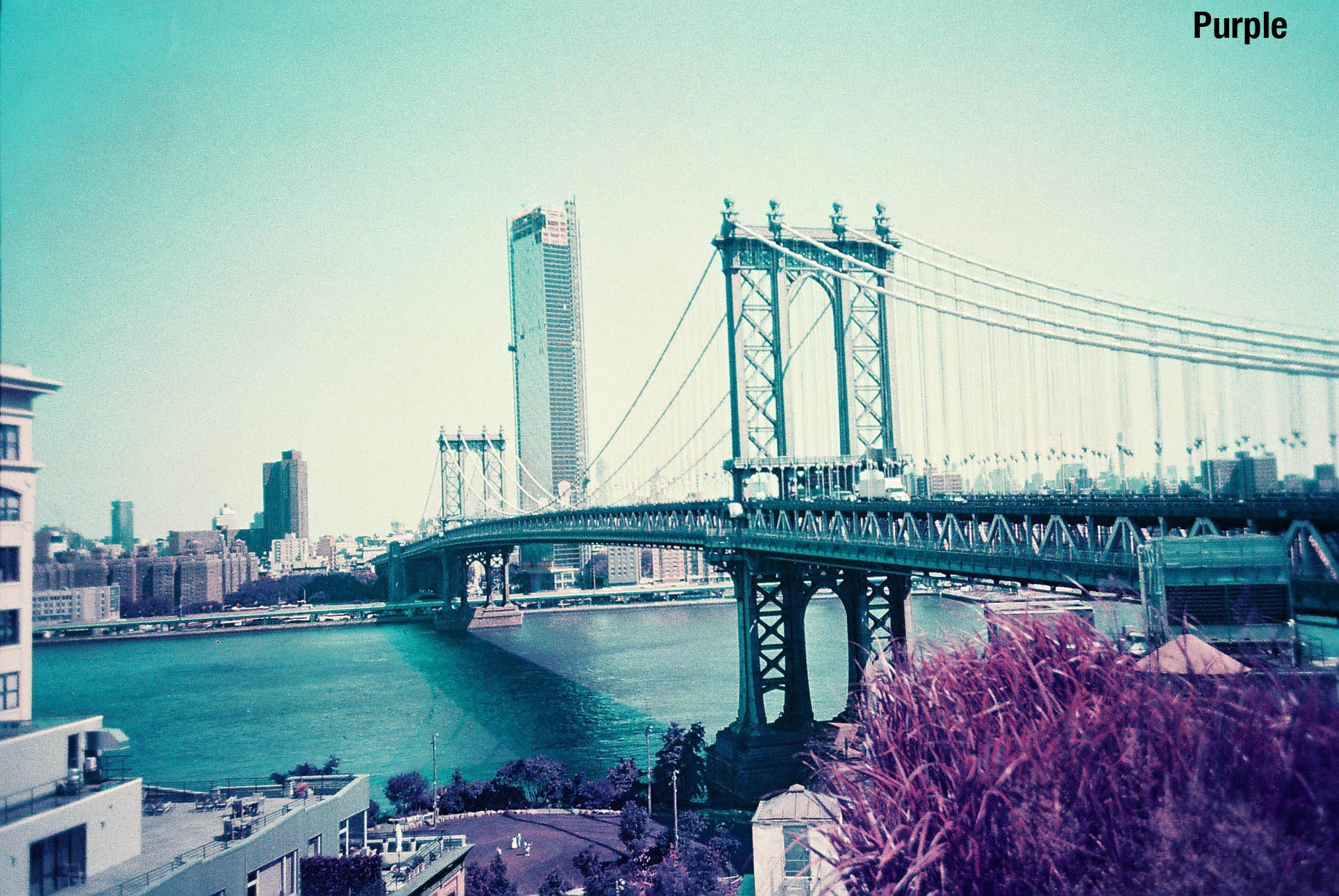 analog pocket 35mm 24x36 trio mixed film argentique pellicule purple metropolis color92 couleur C41