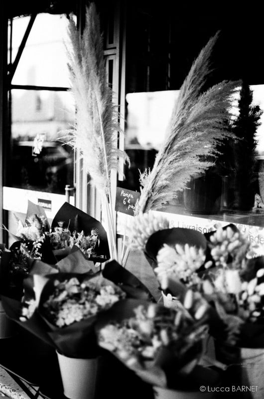 Marinette Classic Film M103 Pellicule Svema Astrum NK 2SH 100 iso noir et blanc basse vitesse exemple
