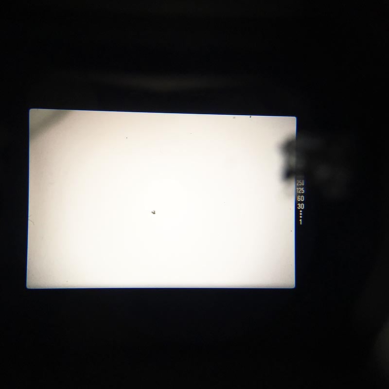 Minolta XG1 & 50mm 1.7