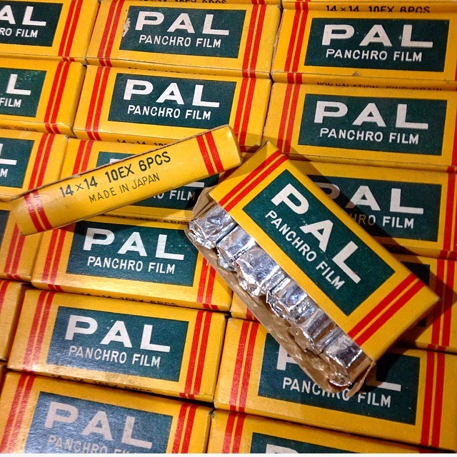 Périmée: 6 PAL Panchro Film Format "Petie"