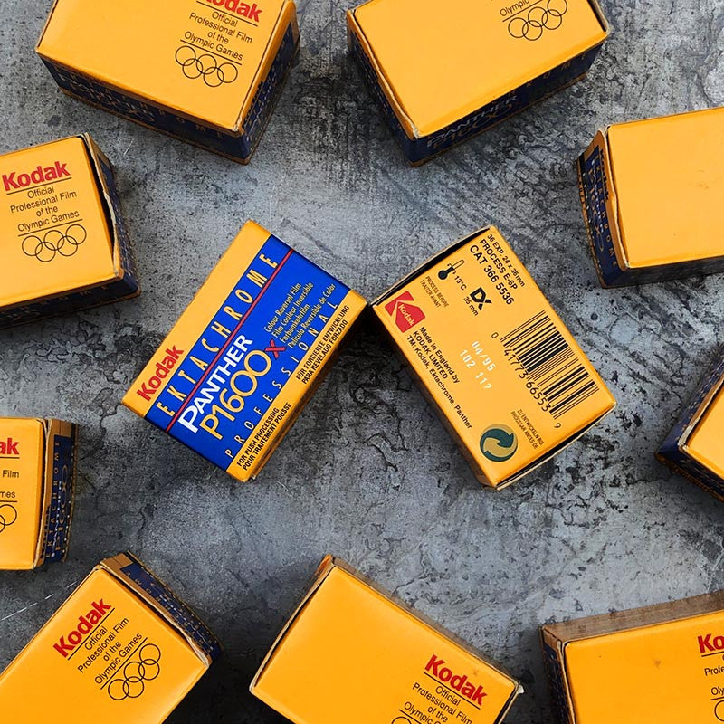 kodak ektachrome panther 1600 x 1995 diapo diapositive e6 35mm 36 poses argentique pellicule film périmé vintage