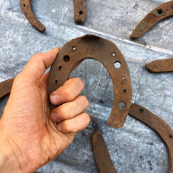 fer a cheval ancien petit vintage marechal ferrant 1900 1920 metallique