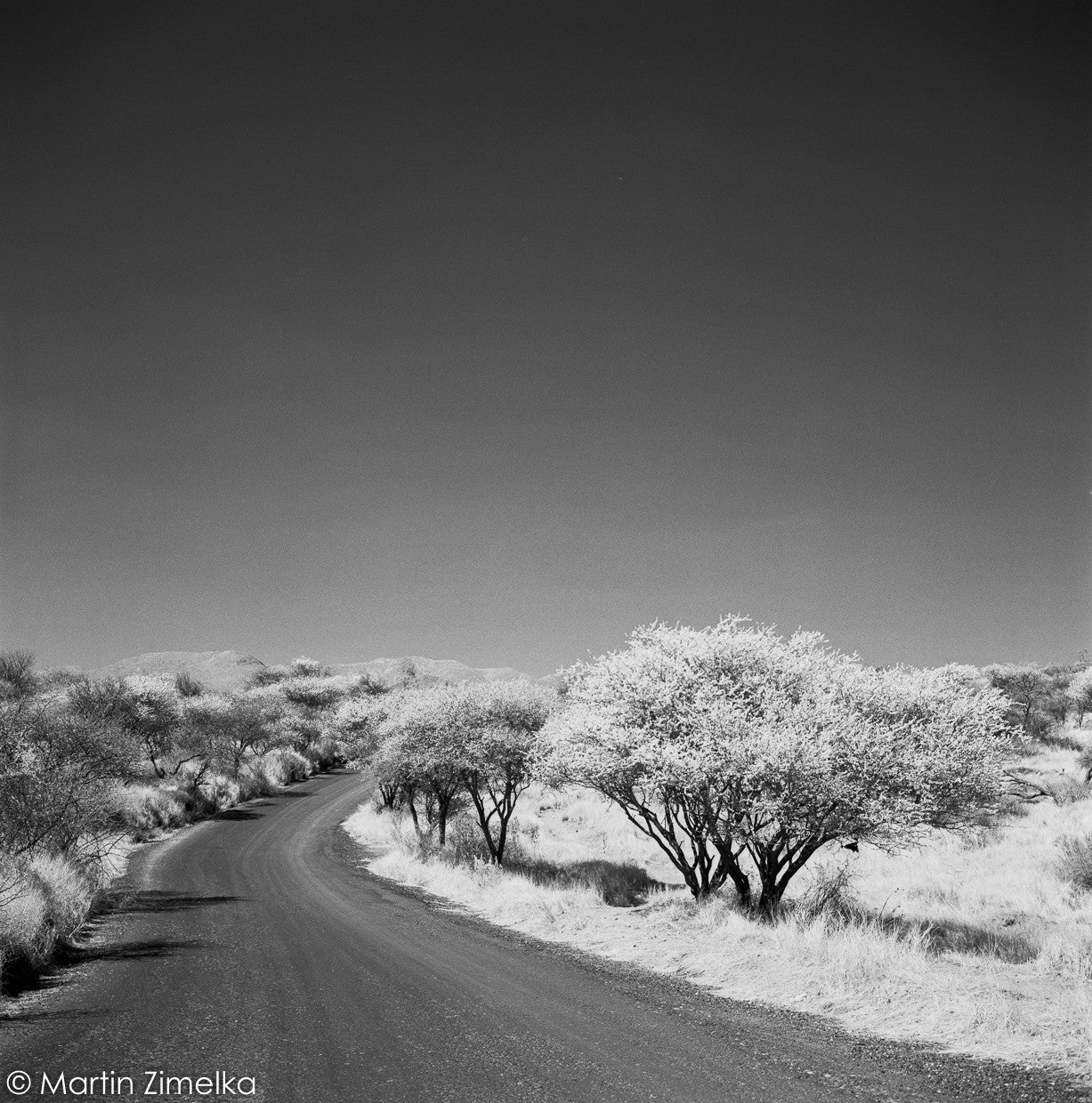 Rollei Infrared 400 - 120