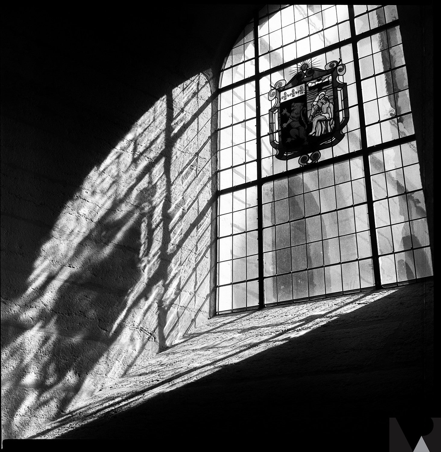 rollei ortho 25 plus argentique noir et blanc film 35mm pellicule orthochromatique test rendu photo exemple image