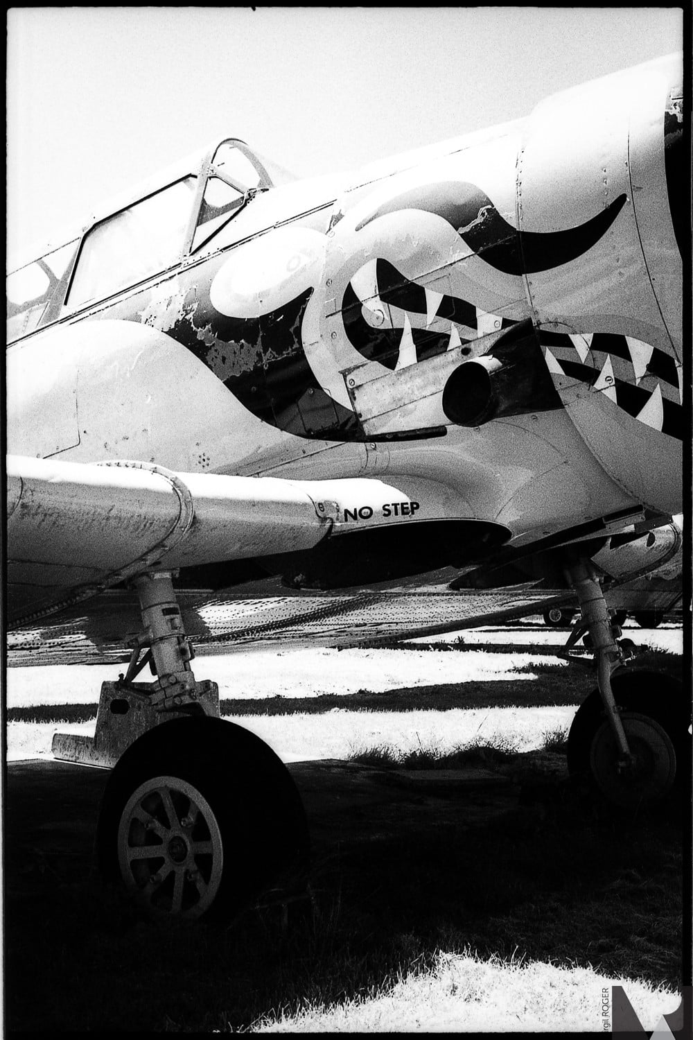 rollei retro 400s argentique pellicule noir et blanc exemple photo rendu test image