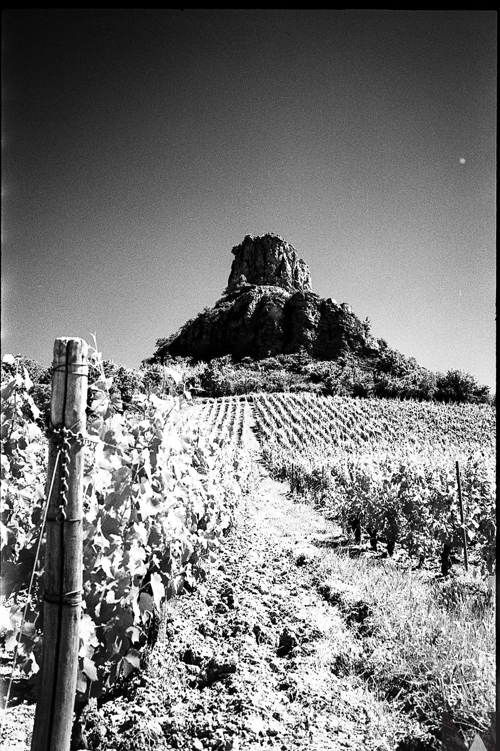 rollei retro 400s argentique pellicule noir et blanc exemple photo rendu test image