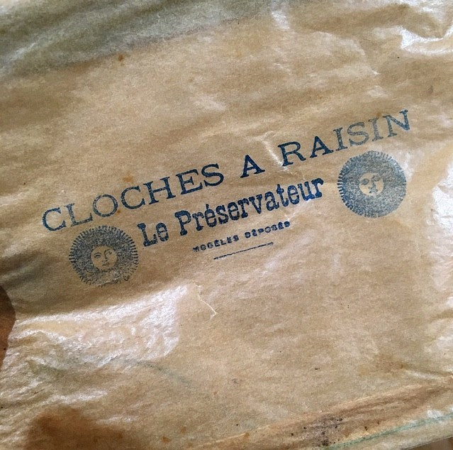 Grape Cloche Bag 1930