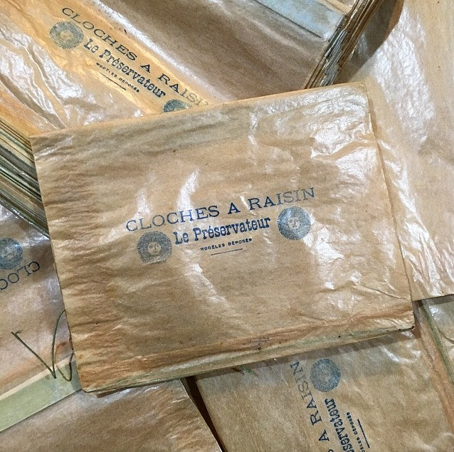 sachet cloche a raisin le préservateur ancien vintage sous vide 1930