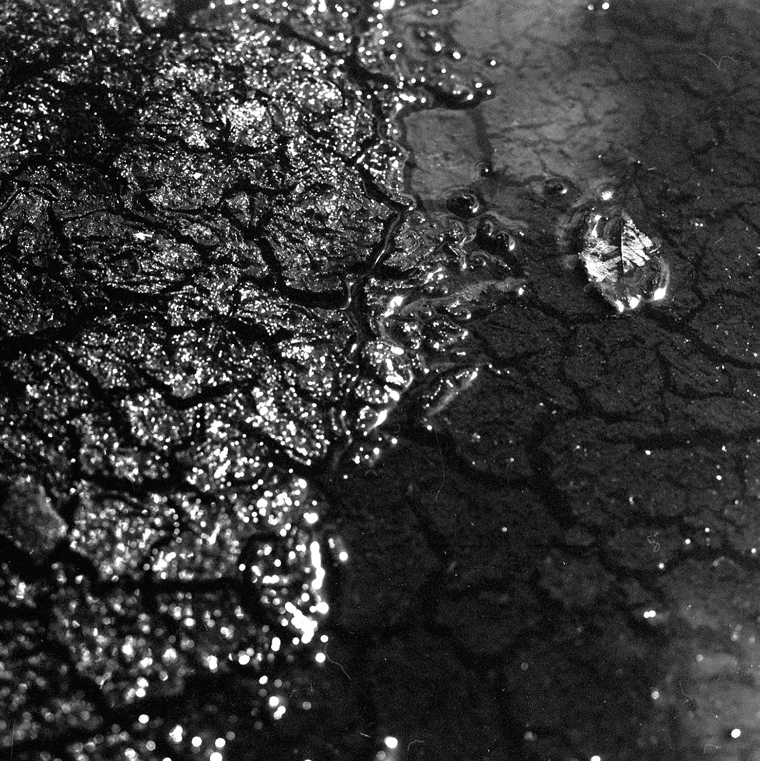washi I industrie industriel radio 80 iso film argentique noir et blanc