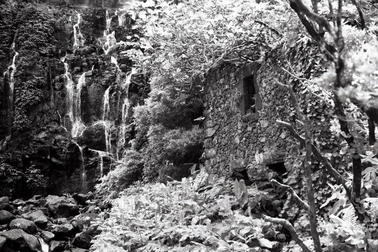 washi film Z quasi infrarouge noir et blanc 35mm exemple